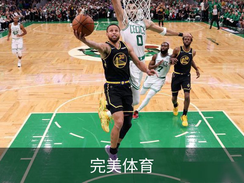 完美体育简介